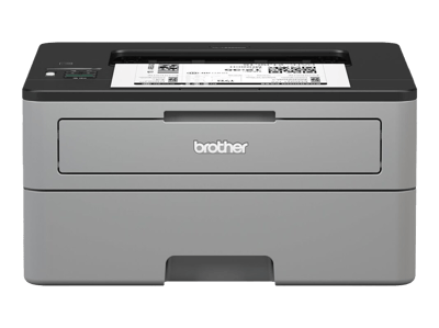Brother HL-L2350DW USB Network Laser Printer