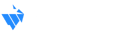 PicoMES